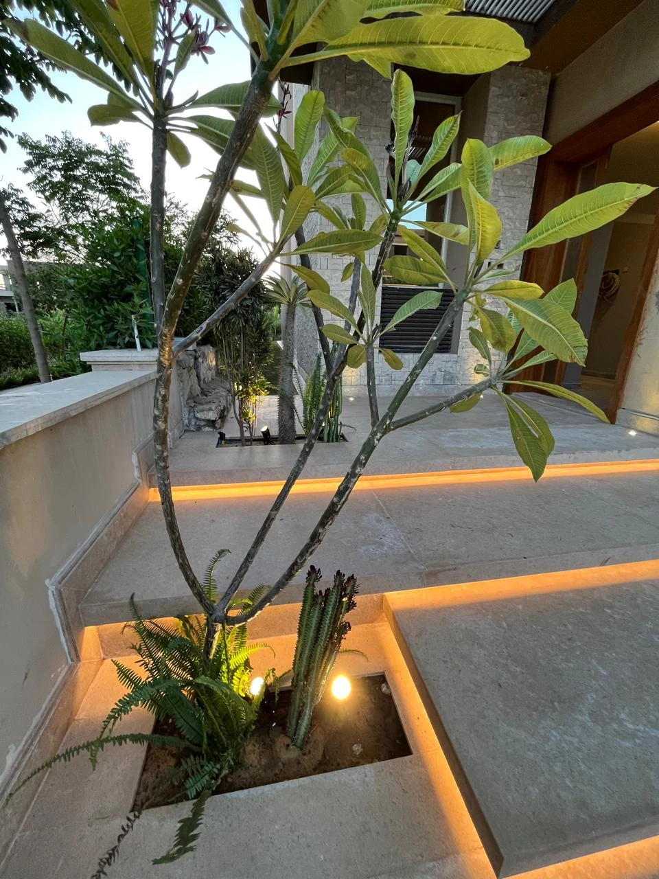New Giza — image 2